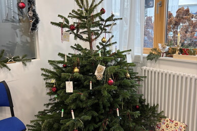 Weihnachtsfreuden